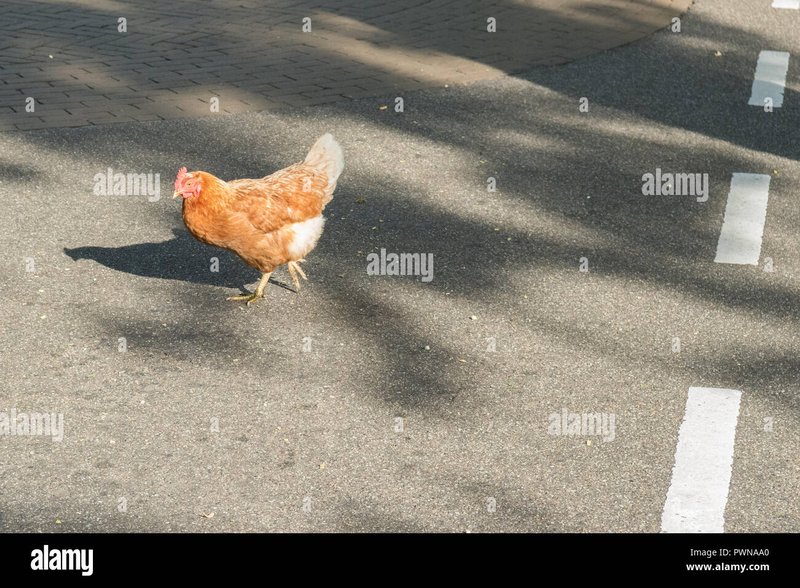 Descubre el Misterio de Chicken Road en el Mayor Casino de España 1 Descubre el Misterio de Chicken Road en el Mayor Casino de España, chicken road españa