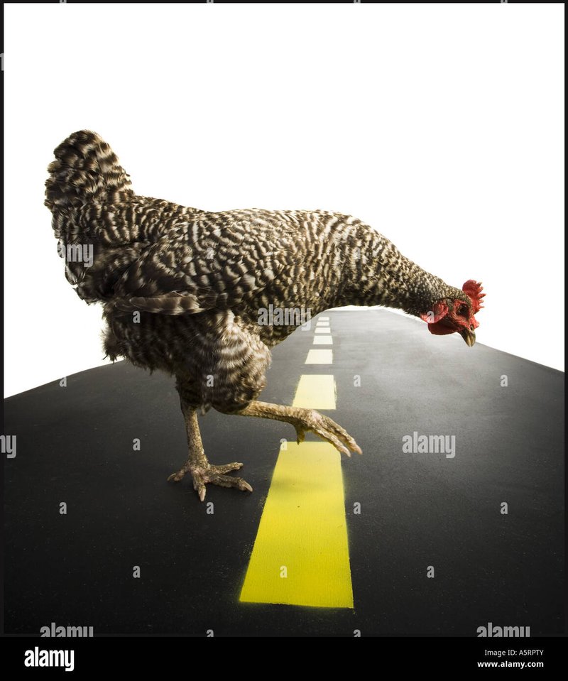 Scopri il Mito di Chicken Road, il Gioco di Azzardo con Stile in Italia 1 Guida a chicken road ufficiale